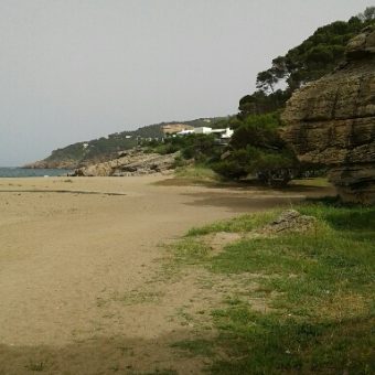 Piso con local en Pals Piso con local en Pals