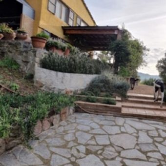 Conjunto de viviendas con amplio terreno en Mont-Ras Conjunto de viviendas con amplio terreno en Mont-Ras